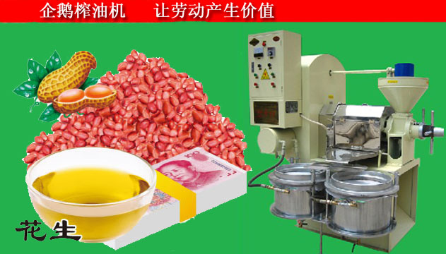 鄭州企鵝為山東四百六十萬榨油設備正式簽單(圖1) 花生榨油機