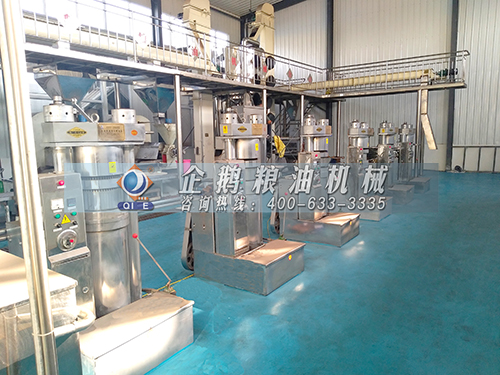 榨油機全套設備 榨油機全套設備